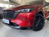 Mazda CX 5 bei Reisemobile.expert - Abbildung (4 / 15)