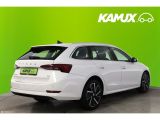 Skoda Octavia bei Reisemobile.expert - Abbildung (5 / 15)