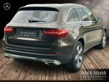 Mercedes-Benz GLC 250 4MATIC bei Reisemobile.expert - Abbildung (2 / 9)