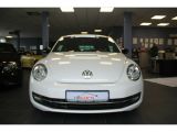 VW Beetle bei Reisemobile.expert - Abbildung (2 / 11)