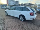 Skoda Octavia bei Reisemobile.expert - Abbildung (6 / 15)