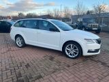 Skoda Octavia bei Reisemobile.expert - Abbildung (3 / 15)