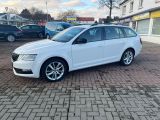 Skoda Octavia bei Reisemobile.expert - Abbildung (5 / 15)