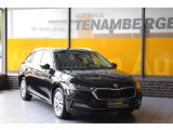 Skoda Octavia bei Reisemobile.expert - Abbildung (2 / 15)