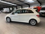 Mercedes-Benz B-Klasse bei Reisemobile.expert - Abbildung (5 / 15)