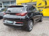 Opel Grandland X bei Reisemobile.expert - Abbildung (6 / 15)