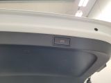 Skoda Octavia bei Reisemobile.expert - Abbildung (9 / 15)