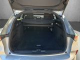 Opel Astra bei Reisemobile.expert - Abbildung (14 / 15) Opel Astra bei Reisemobile.expert - Abbildung (14 / 15)