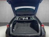 Skoda Octavia bei Reisemobile.expert - Abbildung (14 / 15) Skoda Octavia bei Reisemobile.expert - Abbildung (14 / 15)