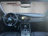 Alfa Romeo Giulia bei Reisemobile.expert - Abbildung (8 / 15)