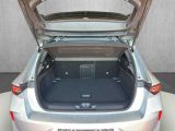 Opel Astra bei Reisemobile.expert - Abbildung (14 / 15) Opel Astra bei Reisemobile.expert - Abbildung (14 / 15)