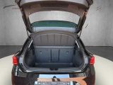 Seat Leon bei Reisemobile.expert - Abbildung (14 / 15) Seat Leon bei Reisemobile.expert - Abbildung (14 / 15)