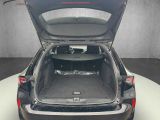 Opel Astra bei Reisemobile.expert - Abbildung (14 / 15) Opel Astra bei Reisemobile.expert - Abbildung (14 / 15)