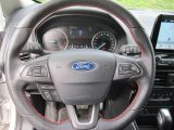 Ford EcoSport bei Reisemobile.expert - Abbildung (10 / 15)