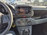 Fiat Panda bei Reisemobile.expert - Abbildung (13 / 13)