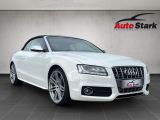 Audi S5 bei Reisemobile.expert - Abbildung (2 / 15)