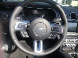 Ford Mustang bei Reisemobile.expert - Abbildung (12 / 15)