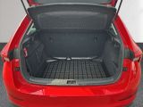 Skoda Scala bei Reisemobile.expert - Abbildung (10 / 15)