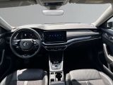 Skoda Octavia bei Reisemobile.expert - Abbildung (15 / 15) Skoda Octavia bei Reisemobile.expert - Abbildung (15 / 15)