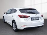 Mazda 3 bei Reisemobile.expert - Abbildung (3 / 15) Mazda 3 bei Reisemobile.expert - Abbildung (3 / 15)