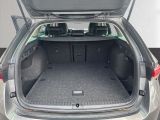 Skoda Octavia bei Reisemobile.expert - Abbildung (12 / 15)