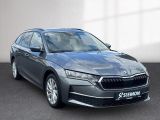Skoda Octavia bei Reisemobile.expert - Abbildung (7 / 15)