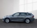 Skoda Octavia bei Reisemobile.expert - Abbildung (2 / 15)