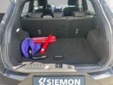 Ford Puma bei Reisemobile.expert - Abbildung (12 / 15) Ford Puma bei Reisemobile.expert - Abbildung (12 / 15)