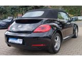 VW Beetle bei Reisemobile.expert - Abbildung (6 / 15)