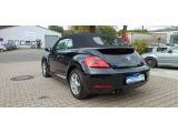 VW Beetle bei Reisemobile.expert - Abbildung (3 / 15)