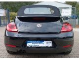 VW Beetle bei Reisemobile.expert - Abbildung (4 / 15)