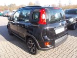 Fiat Panda bei Reisemobile.expert - Abbildung (7 / 12)