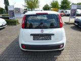 Fiat Panda bei Reisemobile.expert - Abbildung (5 / 8)