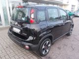Fiat Panda bei Reisemobile.expert - Abbildung (4 / 14)