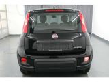 Fiat Panda bei Reisemobile.expert - Abbildung (6 / 10)