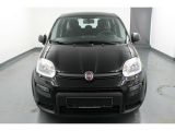 Fiat Panda bei Reisemobile.expert - Abbildung (5 / 10)