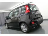 Fiat Panda bei Reisemobile.expert - Abbildung (3 / 10)