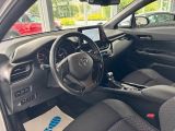 Toyota C-HR bei Reisemobile.expert - Abbildung (11 / 15)