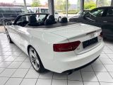 Audi A5 Cabriolet bei Reisemobile.expert - Abbildung (7 / 15)