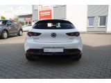Mazda 3 bei Reisemobile.expert - Abbildung (7 / 15)