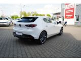 Mazda 3 bei Reisemobile.expert - Abbildung (6 / 15)