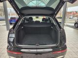 Audi Q5 bei Reisemobile.expert - Abbildung (7 / 10)