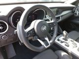 Alfa Romeo Stelvio bei Reisemobile.expert - Abbildung (12 / 14)
