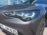 Alfa Romeo Stelvio bei Reisemobile.expert - Abbildung (8 / 14)