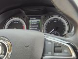 Skoda Octavia bei Reisemobile.expert - Abbildung (15 / 15)