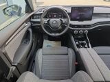 Skoda Superb bei Reisemobile.expert - Abbildung (14 / 15)
