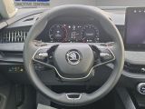Skoda Superb bei Reisemobile.expert - Abbildung (15 / 15)