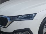 Skoda Octavia bei Reisemobile.expert - Abbildung (7 / 15) Skoda Octavia bei Reisemobile.expert - Abbildung (7 / 15)
