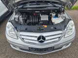 Mercedes-Benz B-Klasse bei Reisemobile.expert - Abbildung (5 / 6)