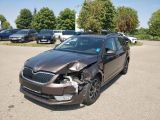 Skoda Octavia bei Reisemobile.expert - Abbildung (3 / 15) Skoda Octavia bei Reisemobile.expert - Abbildung (3 / 15)